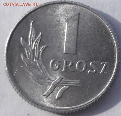 1 Grosz 1949 Польша  Супер состояние! до 15 марта 23-00 мск - DSCF9400
