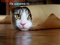 Ну а теперь про Украину - thAPHUDPGM