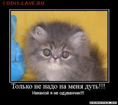 Ну а теперь про Украину - одуванчик
