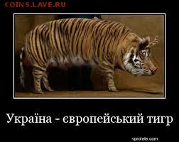 Ну а теперь про Украину - тигр