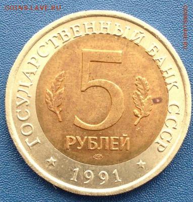 КК 1991 Рыбный филин смещение ( до 31.05.14) - IMG_2372.JPG