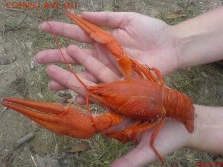 ФОТО - просто фото. Те что получились удачными. - DSC01954