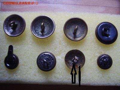 8 пуговиц - P8190013.JPG
