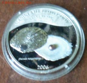 Палау 5 долларов 2006 Чёрная Жемчужина 2.08 в 22.00 мск - SAM_3393.JPG