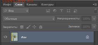 10 руб 2010 шт 2.3...буква? (по АС) - Слой_Фон.JPG