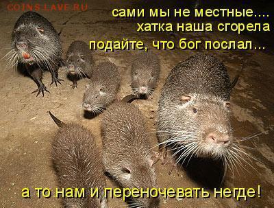 Ассоциация слов - много ббб