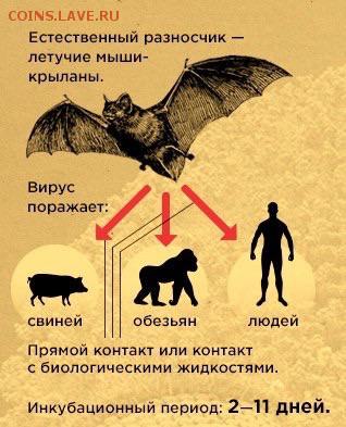 делает - прямо сейчас !!! - image
