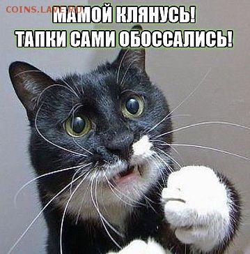 Любите ли вы кошек? - getImage (3)