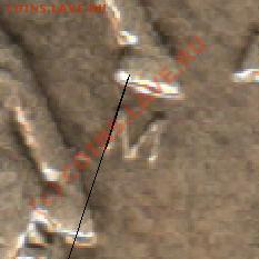 10 копеек 2004 М - Scanitto_2010-04-24_0012