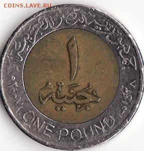 Египет 1 фунт до 22:00 21.11.14 - Снимок27