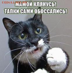 Любите ли вы кошек? - post-5029-0-06758900-1397230499_thumb