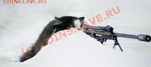 юмор - кошак 