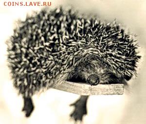 Ну а теперь про Украину - 1654744_f9186946