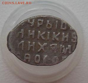 Две чешуйки на определение и оценку - DSCN2464