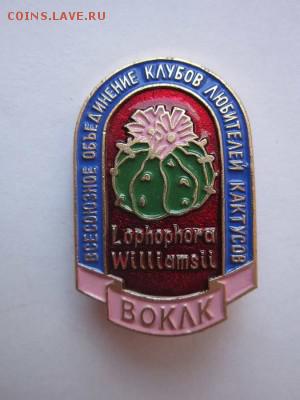 Расшифруй аббревиатуру. - IMG_0290_thumb