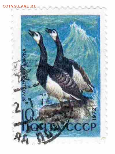 Марки на продажу или обмен. - 1972-гуси-1р