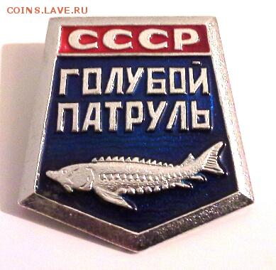 знак ГОЛУБОЙ ПАТРУЛЬ до 29.01.15 - 20150125_172100(1)