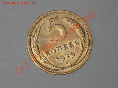 5 копеек 1929 - оценка - 5-29 фото реверс