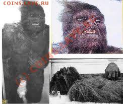 В Подмосковье трындец !!!!!!!!!!!!!!!!!!!!!!!!!!! - images