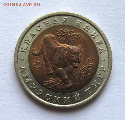 Красная книга амурский тигр 1992г. Отличный. - 2_r