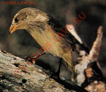 Животные на монетах - 0a03f20c824326dbc91f4ab7f0c164ad