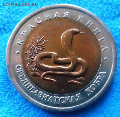 Красная Книга 92 С. КОБРА до 02.04.15 22-00 МСК - SAM_0098.JPG