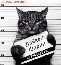 Ну а теперь про Украину - nVztoiFfi5I