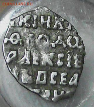 Чешуйки разные. - DSCF3602.JPG