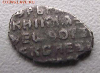 Чешуйки разные. - DSCF3613.JPG