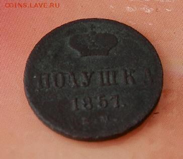 полушка 1857 (ЕМ) на оценку. - 2015-06-03_12.51.01