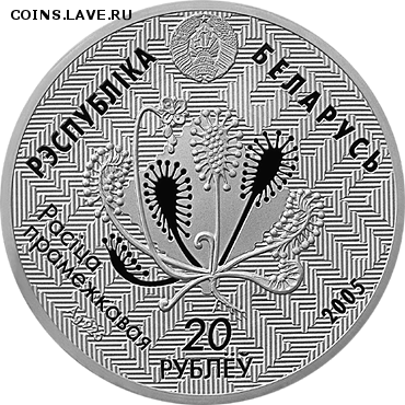 Беларусь, 20 рублей Альманские болота, Сова 11.07 22.00 - Сова 2