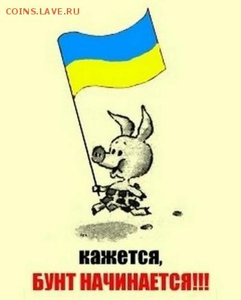События на Украине. - 4 tty7