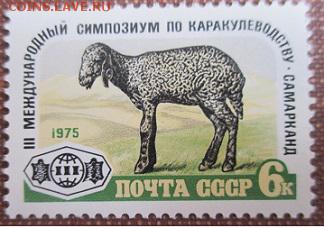 СССР 1975. Симпозиум по каракулеводству** - 1975-383.JPG