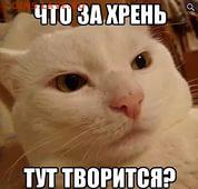 Вопросом на вопрос! - i