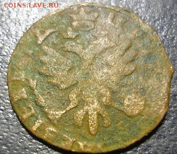 полушка Петра 1 1713г - ц2