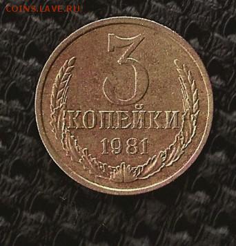 3 коп. 1981 года - SCAN0272.JPG