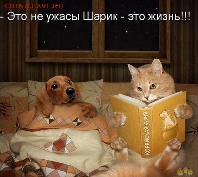 Всем мои поздравления. Рублю - похоже, кирдык! - 3 rrt44