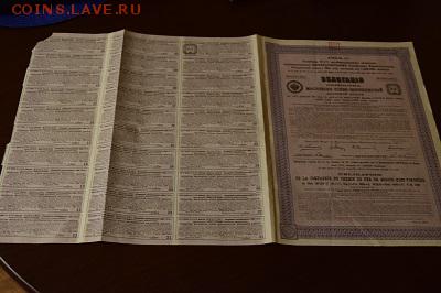 д. - DSC_0507.JPG