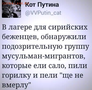 События на Украине. - 2 ggt57