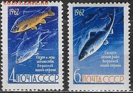 СССР 1962. Рыбы - 1962-583