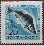 СССР 1960. Фауна. Судак* - С-155