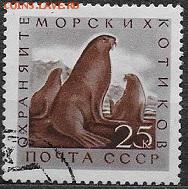 СССР 1960. Морская фауна. Морской котик** - С-156