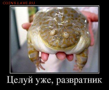 События на Украине. - лягуха