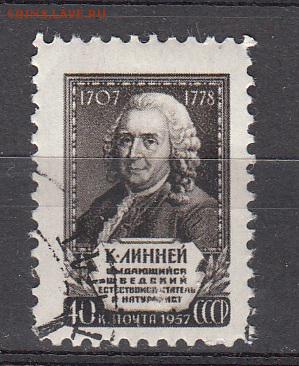 СССР 1958 К Линней - 64