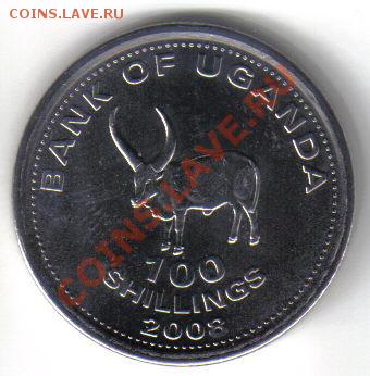 Уганда 100 шиллингов 2008 буйвол UNC до 19.10 21.00мск - Уганда 100 шиллингов 2008-1