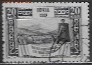 х выставка. Овцеводство** - С-213