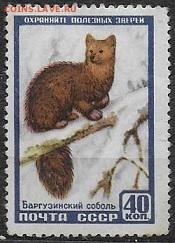 СССР 1957. Баргузинский соболь **** - С-184