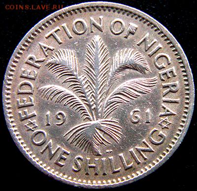 Нигерия_неплохой шиллинг 1961; до 01.03_22.18мск - 9590