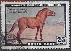 СССР 1959. Фауна. Лошадь Пржевальского - С-220