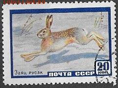 СССР 1960. Фауна. Заяц - С-221